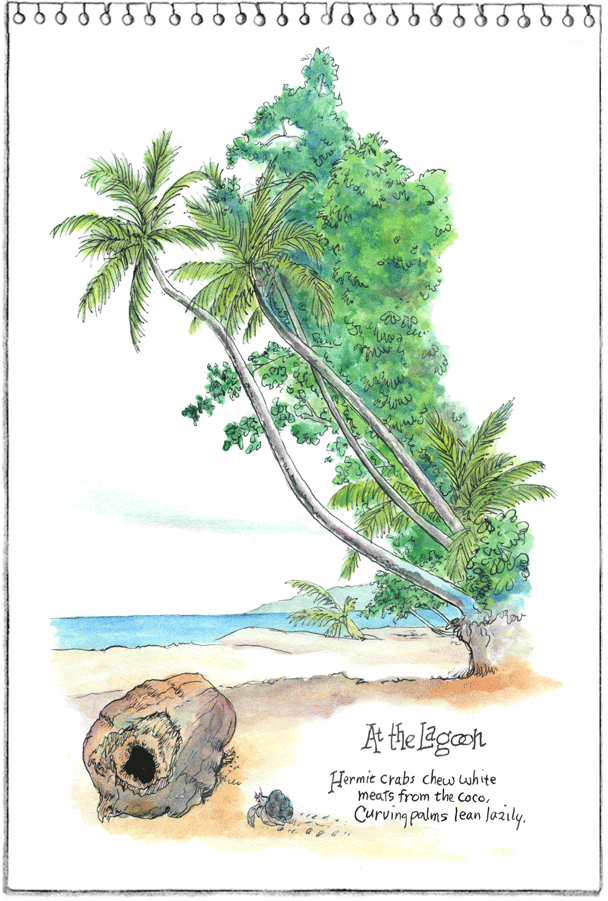 Beach palms and a hermit crab...