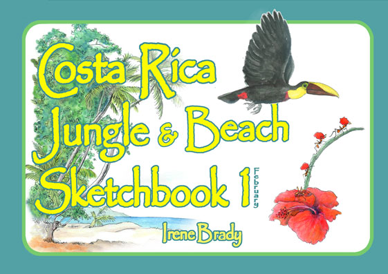 New Costa Rica Journal Cover...