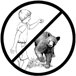 Dont feed bears!