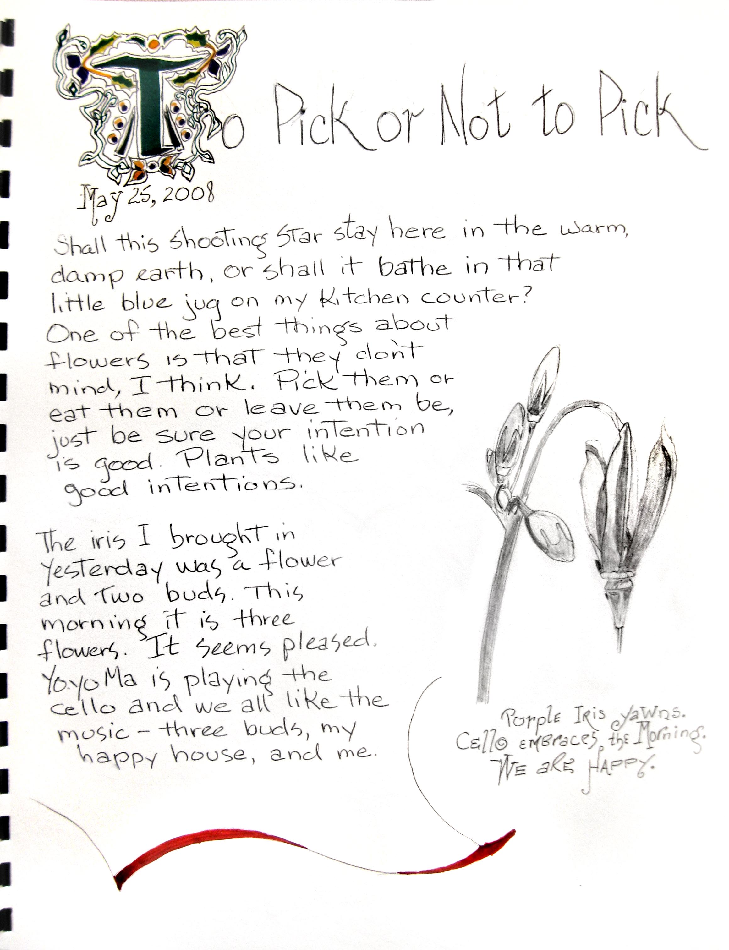 Darrel's Flower Journal Page...