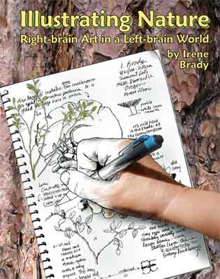 Illustrating Nature--Right-brain Art in a Left-brain World...