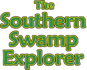 The Southern Swamp Explorer...