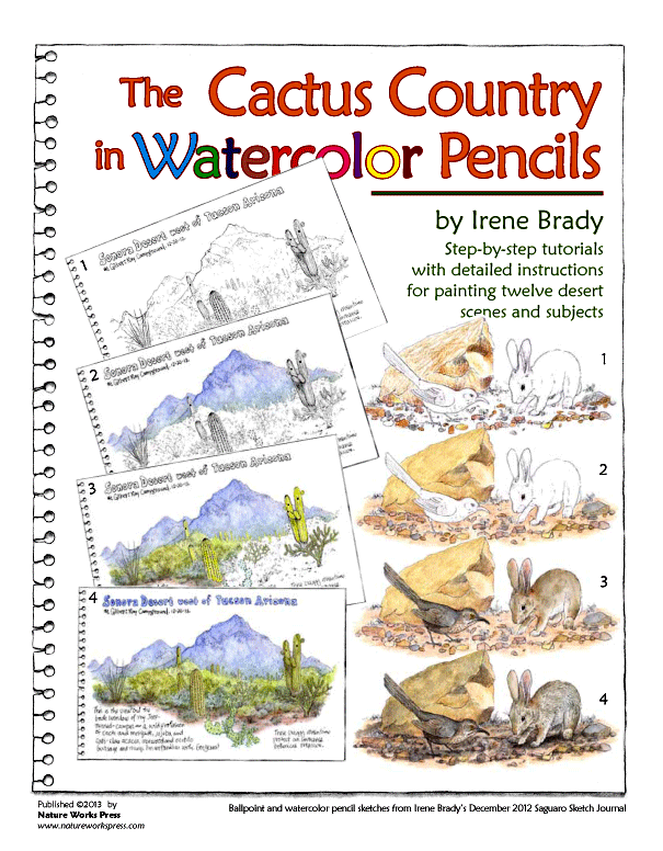 The Cactus Country In Watercolor Pencils Cover...