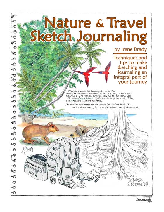 Nature & Sketch Journaling Workbook...