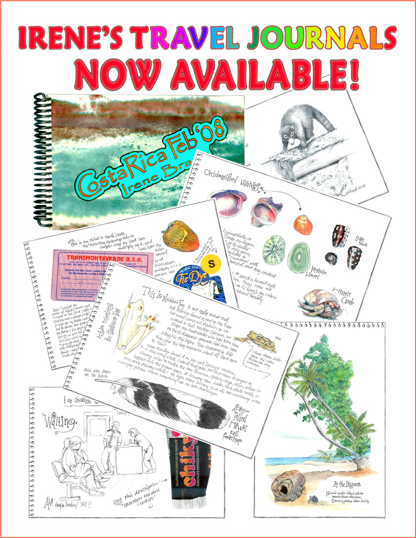 SketchJournalsAvailable!