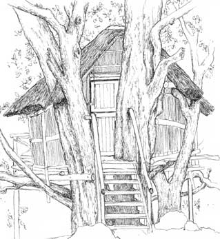 A jungle treehouse...