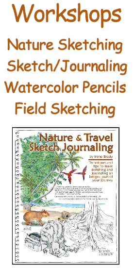 Cover of Workshop Guide