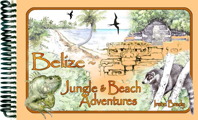 Belize~ Beach & Jungle Adventures...