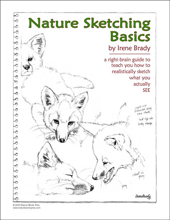 Nature Sketching Basics Workshop Workbook...
