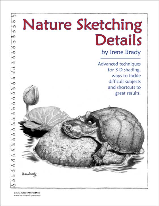 Nature Sketching Details...